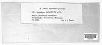 Image Associated With the Occurence